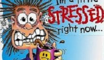 Is Stress Taking A Toll In Your Life?